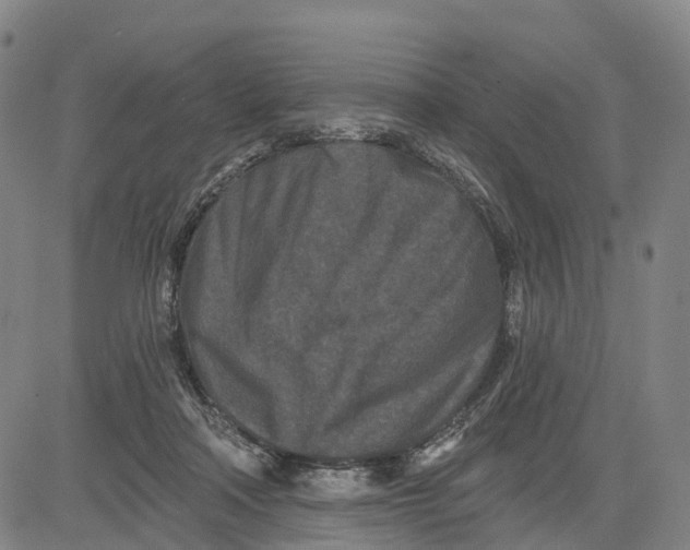 X0000081420314200702021634