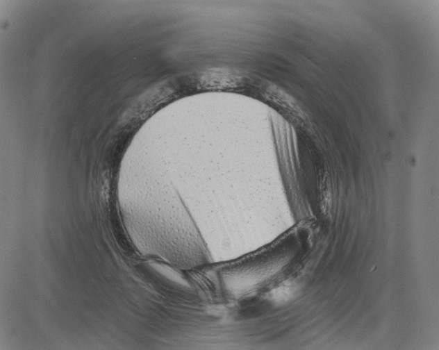 X0000081420315200702021634