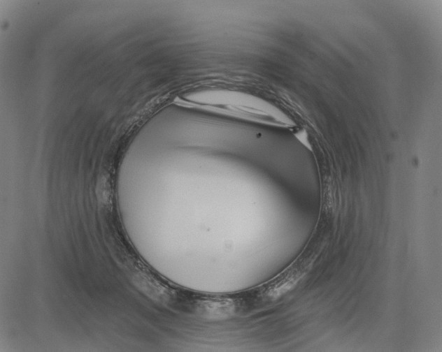 X0000081420317200702021634