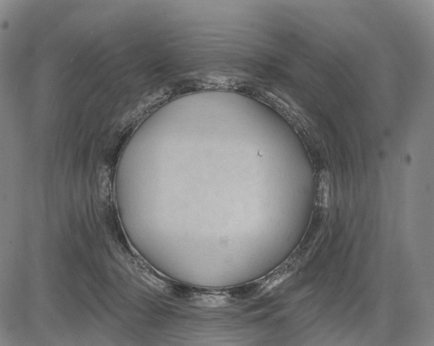 X0000081420318200702021634