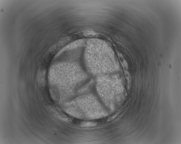 X0000081420319200702021634