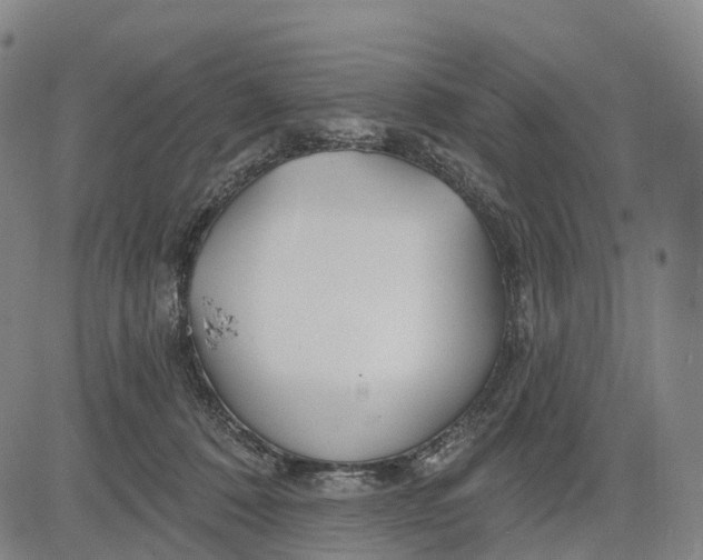 X0000081420320200702021634