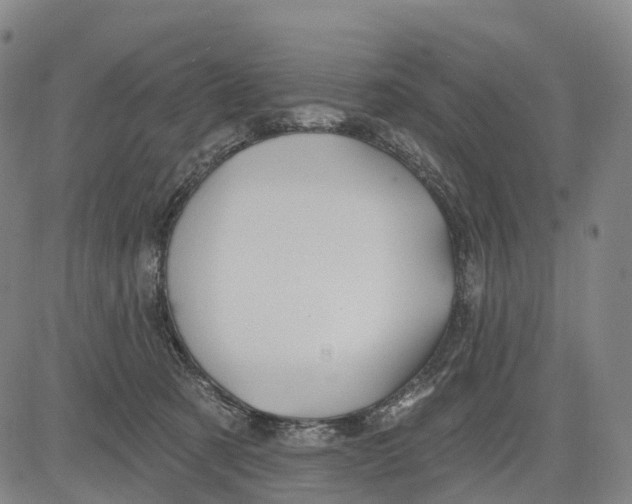 X0000081420321200702021634