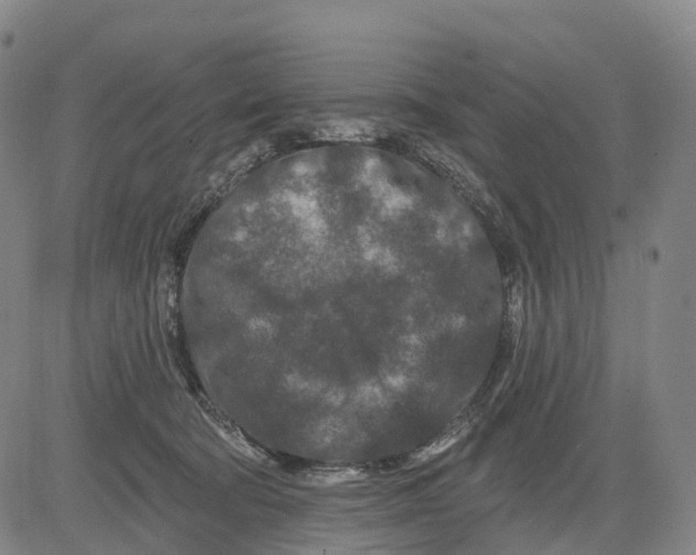 X0000081420322200702021634