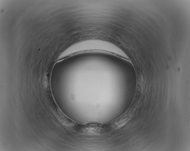 X0000081420323200702021634