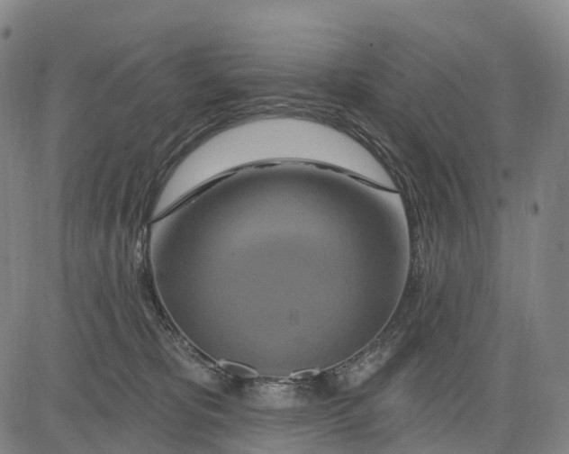 X0000081420325200702021634