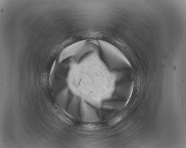 X0000081420326200702021634