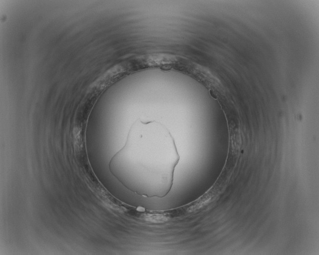 X0000081420327200702021634