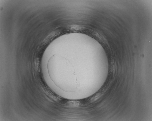 X0000081420328200702021634