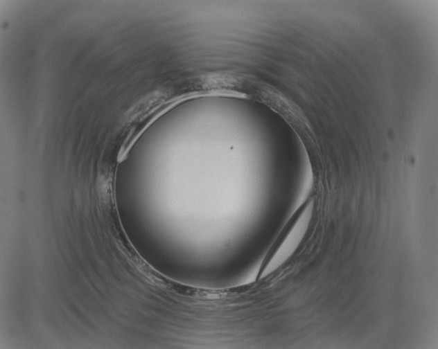 X0000081420329200702021634