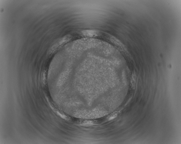 X0000081420330200702021634