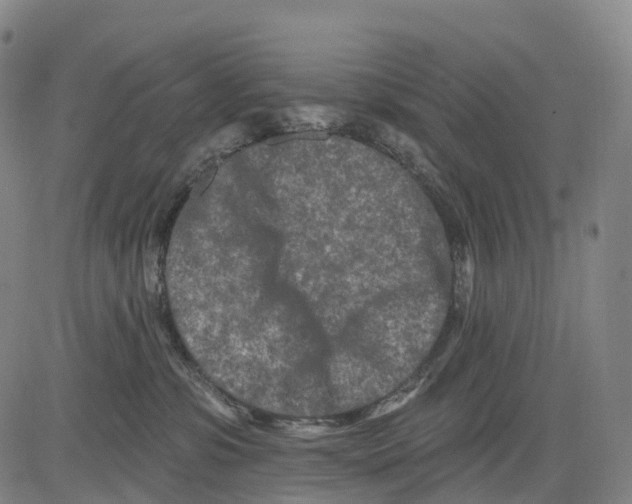 X0000081420331200702021634