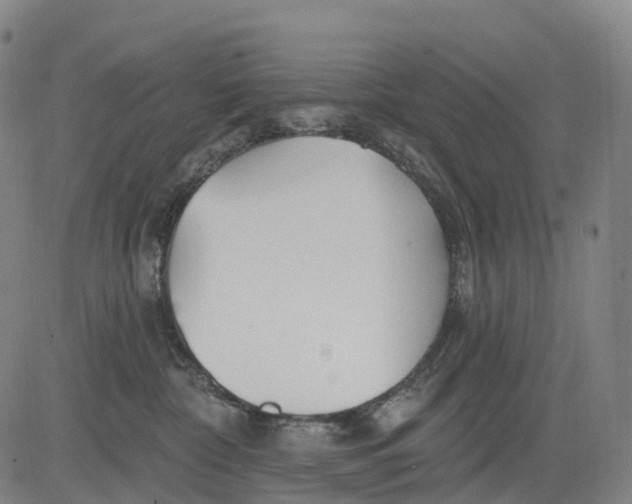 X0000081420332200702021634