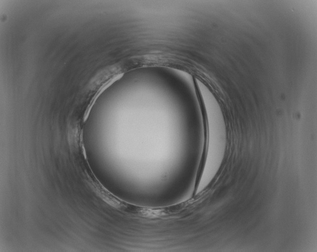 X0000081420333200702021634