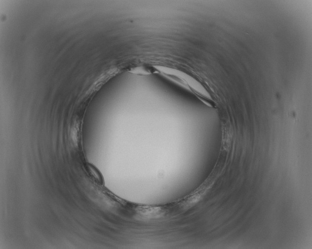 X0000081420334200702021634