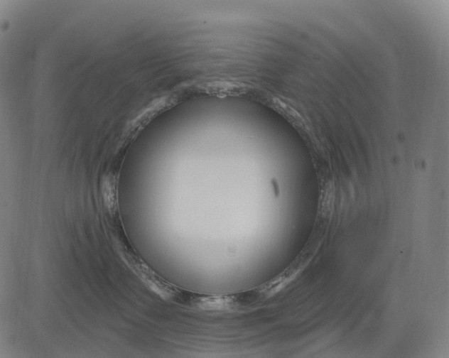 X0000081420335200702021634