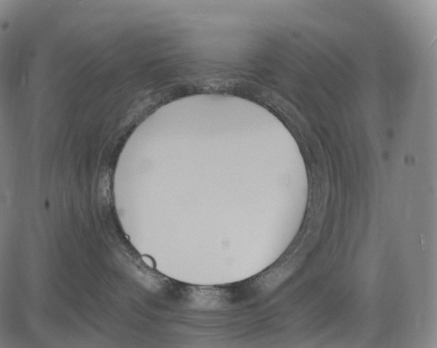 X0000081420336200702021633