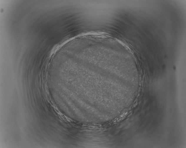 X0000081420337200702021633