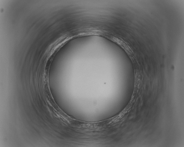 X0000081420338200702021633