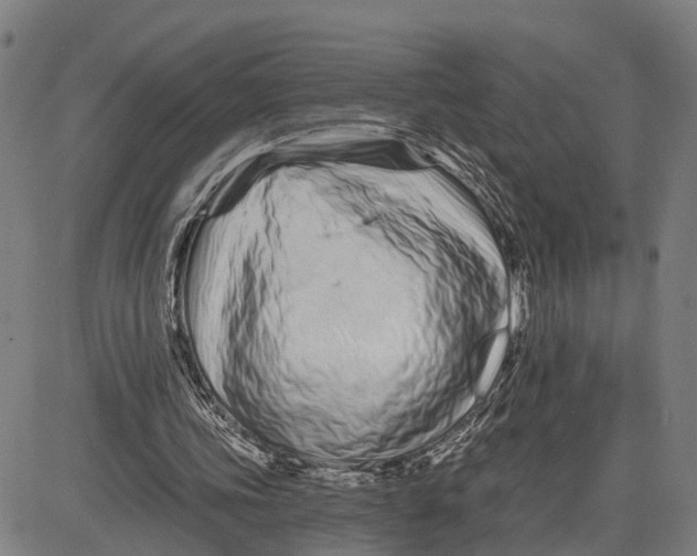 X0000081420339200702021633