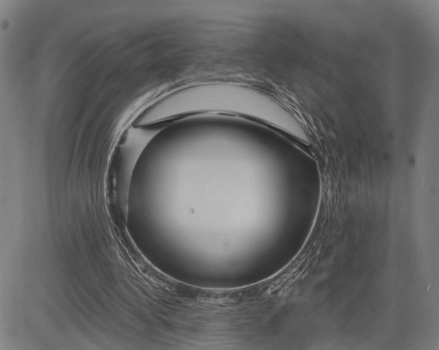 X0000081420340200702021633