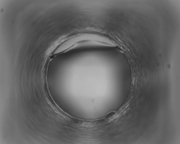 X0000081420341200702021633