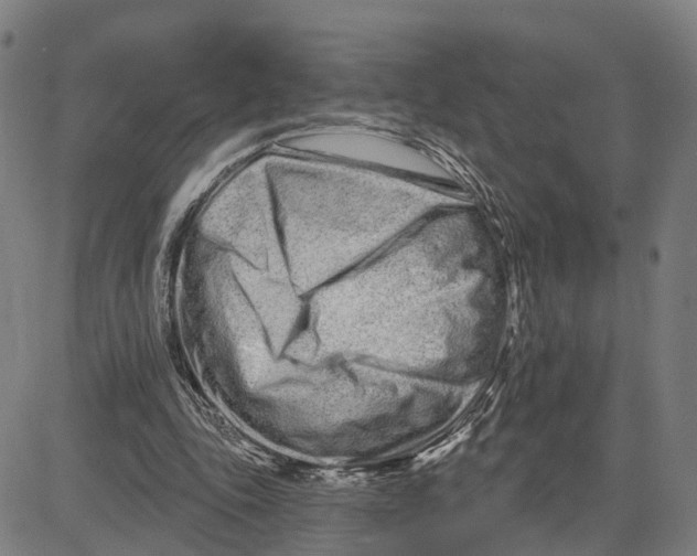 X0000081420343200702021633