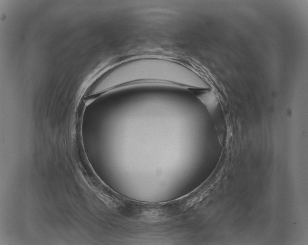 X0000081420344200702021633