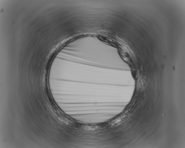 X0000081420346200702021633