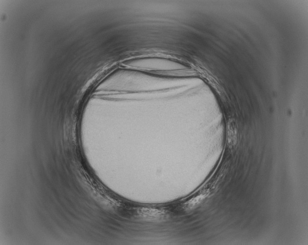 X0000081420347200702021633