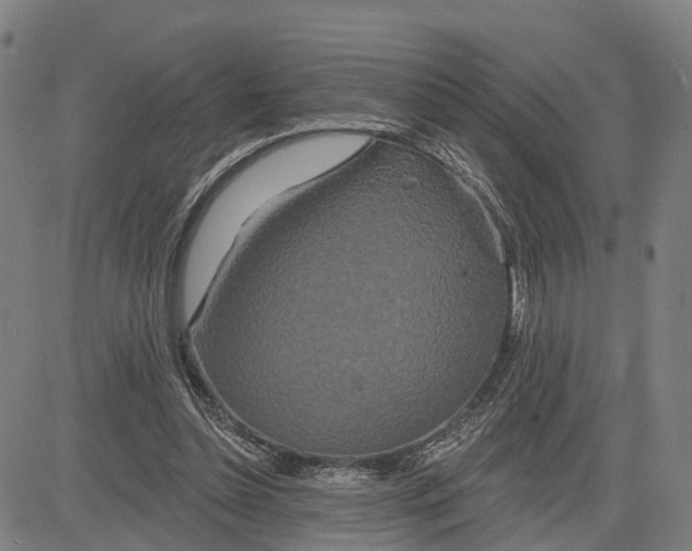 X0000081420348200702021633