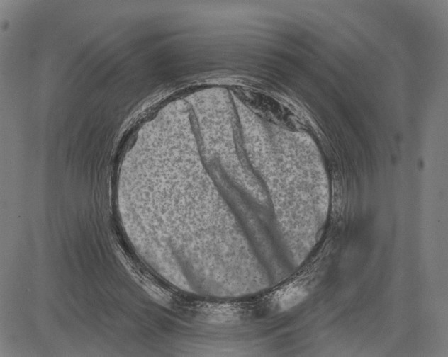 X0000081420349200702021633