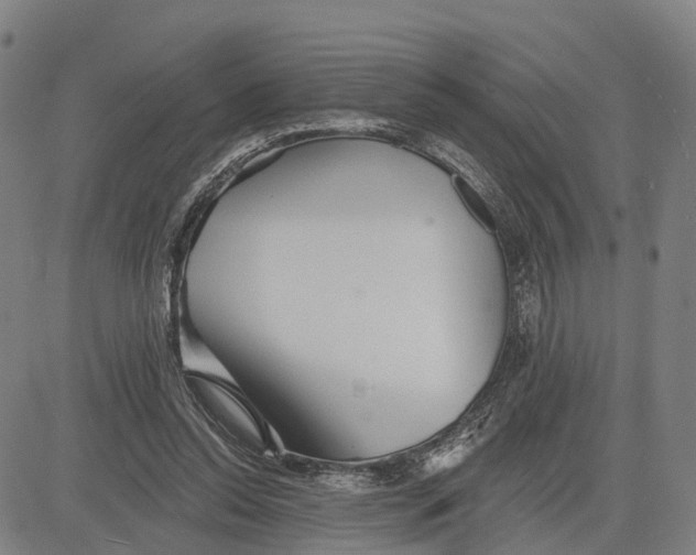 X0000081420350200702021633