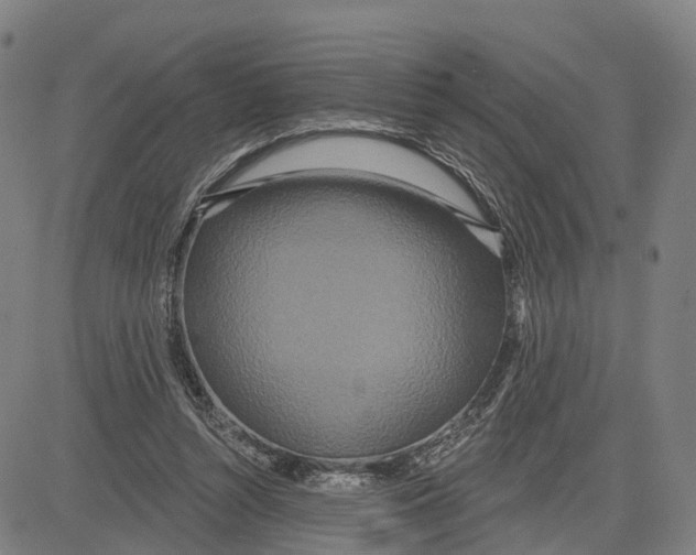 X0000081420352200702021633