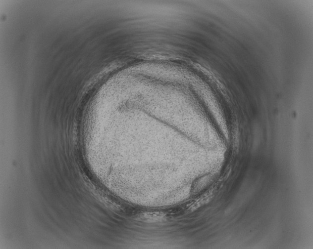 X0000081420353200702021633