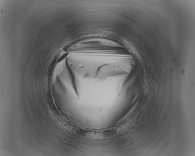 X0000081420354200702021633