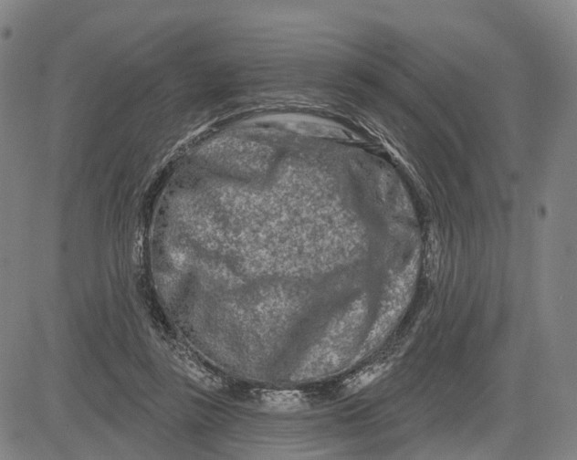 X0000081420355200702021633