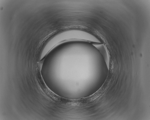 X0000081420356200702021633