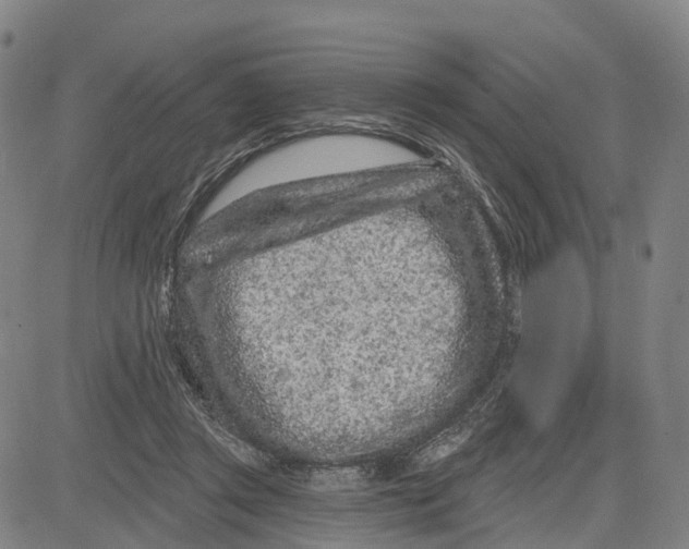 X0000081420357200702021633