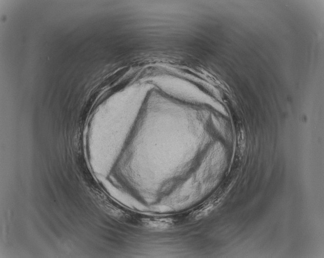 X0000081420359200702021633