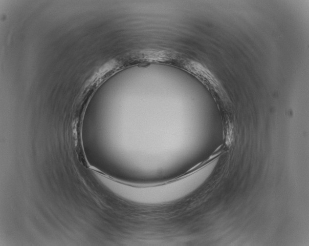 X0000081420360200702021633