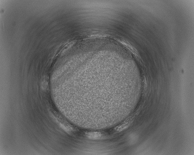 X0000081420361200702021633