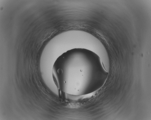 X0000081420362200702021633