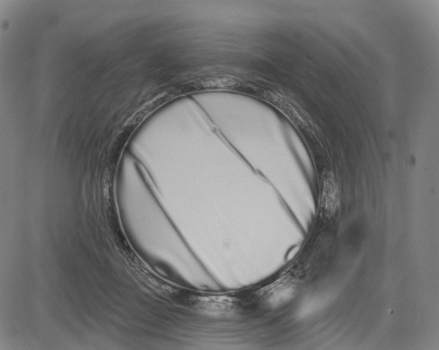 X0000081420363200702021633