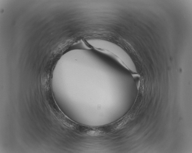 X0000081420364200702021633