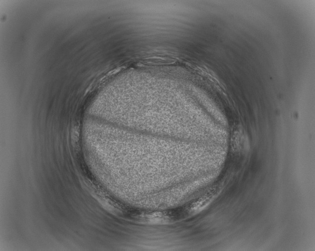 X0000081420365200702021633