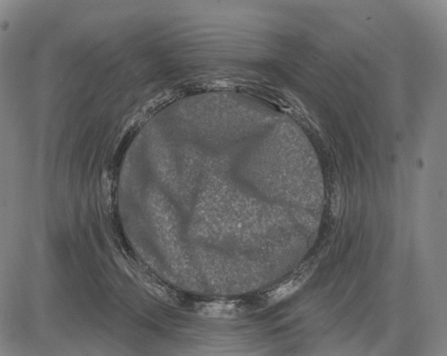 X0000081420366200702021633