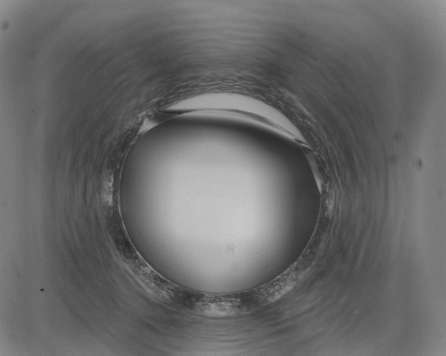 X0000081420368200702021633