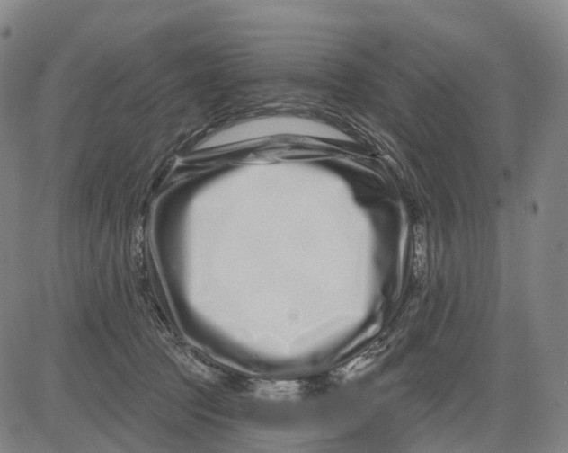 X0000081420369200702021633