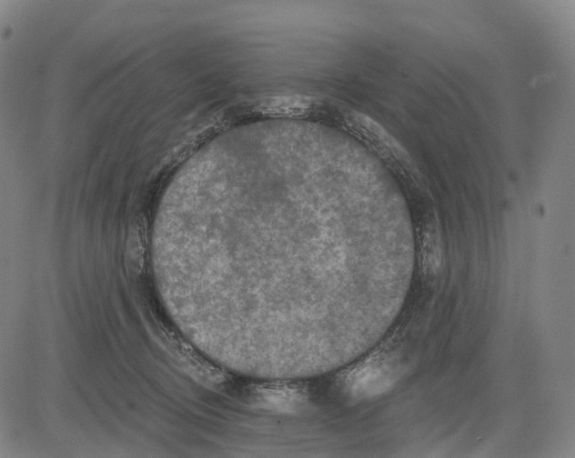 X0000081420370200702021633